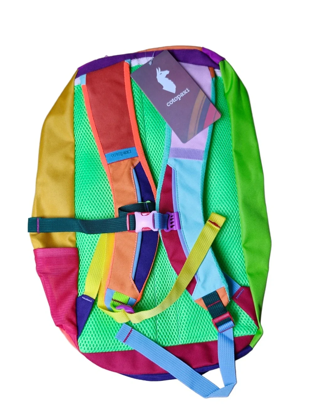 Cotopaxi Allpa 20L Purple Daypack Backpack with Multi-Color Accents